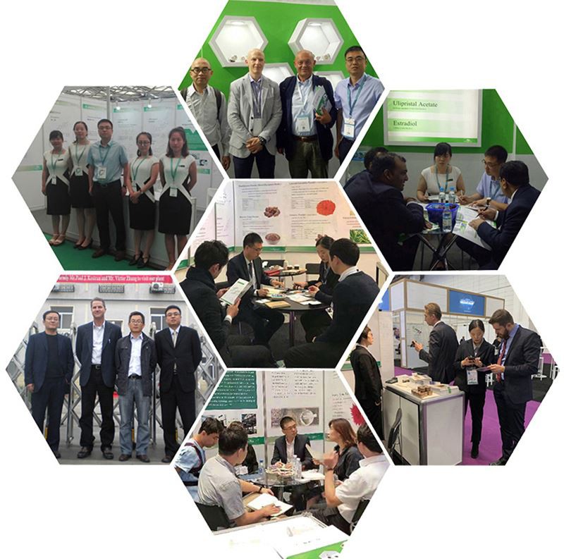 product-1-1 Exhibition