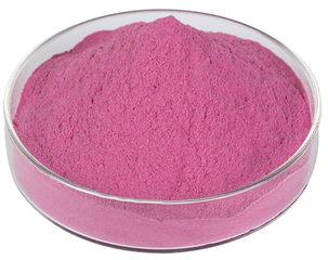 Spray dry dragon fruit powder Spray dry dragon fruit powder