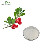 Te paura waikawa Ursolic