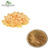 Ko te tangohanga a Boswellia Serrata