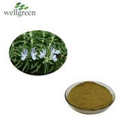 Te paura waikawa Carnosic