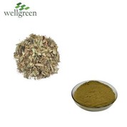 Epimedium Tango Paura