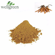Cordyceps Sinensis Tango Paura