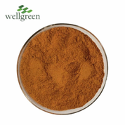 Aloe Vera Tango paura