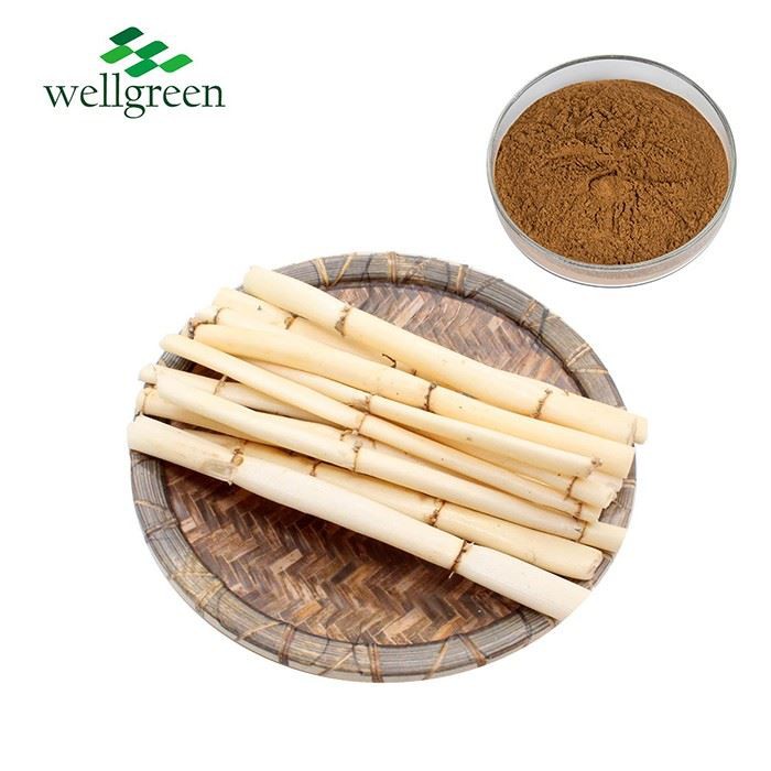 Reed Rhizome Extract
