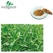 Andrographis Paniculata PE