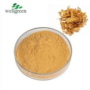 Angelica Tango Paura