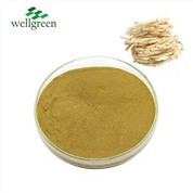 Tangohanga Heartleaf Houttuynia