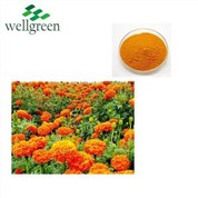Tango Marigold