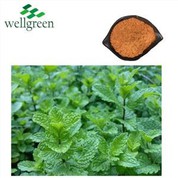 Peppermint Paura
