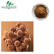 Tango harore Shiitake