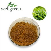 Tea Polyphenols paura