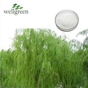 Paura Tango Willow Bark White