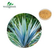 Yucca Tango Paura Nui