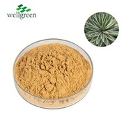 Yucca Tango Paura 30% Saponins