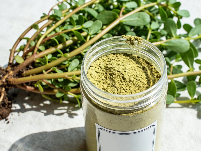 Purslane extract powder Purslane extract powder