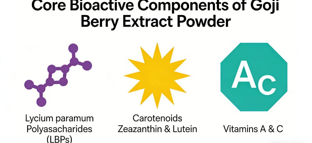 Core Bioactive Components of Goji Berry Extract Powder Core Bioactive Components of Goji Berry Extract Powder