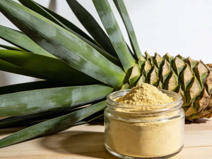 Yucca Extract Powder Yucca Extract Powder