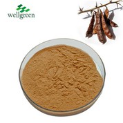 Gliditsia Sinensis Tango Paura