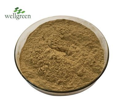 Chlorogenic acid powder