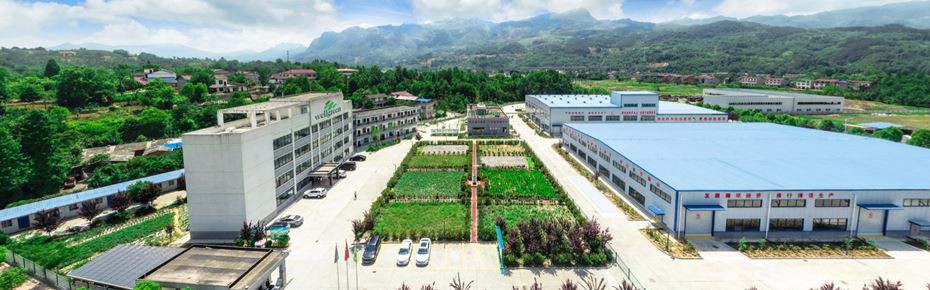 Wellgreen factory (2)