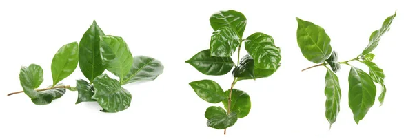 Y9MUK6%2FC6F`{BX8LWXDEM_