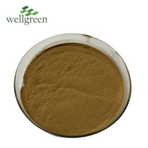 Burdock Root tango paura
