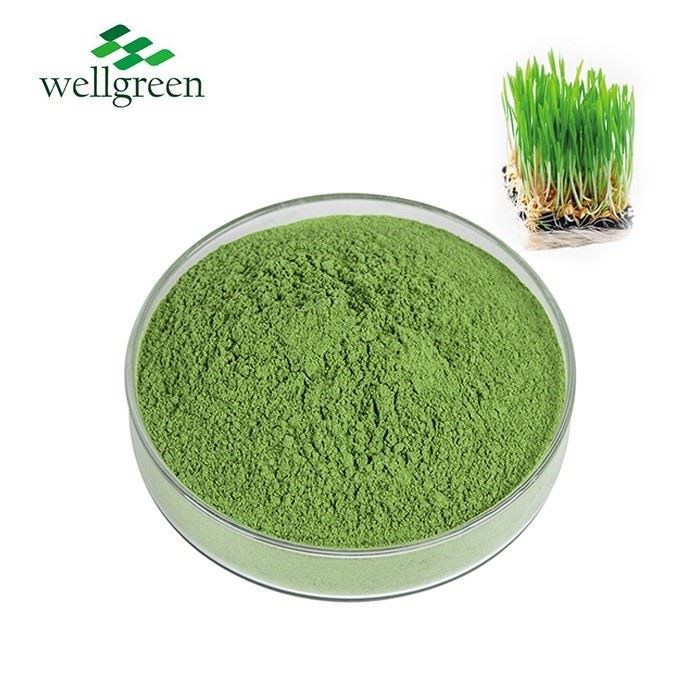 Barley Grass Extract Powder