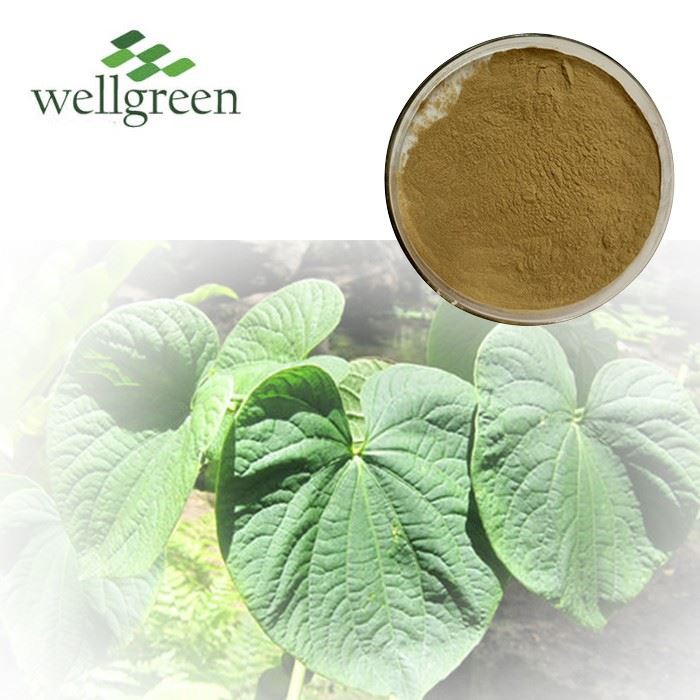 Kava Extract Powder
