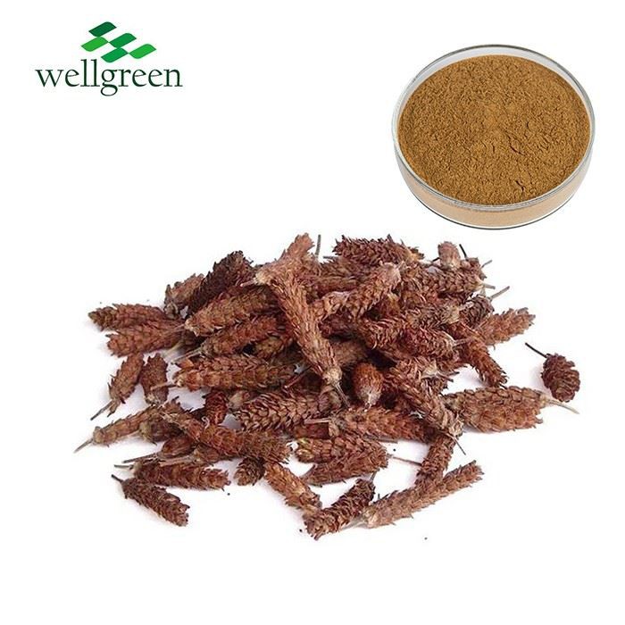 Prunella Vulgaris Extract