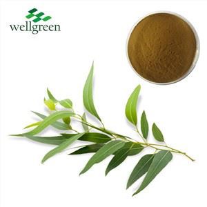 Tango Rau Eucalyptus