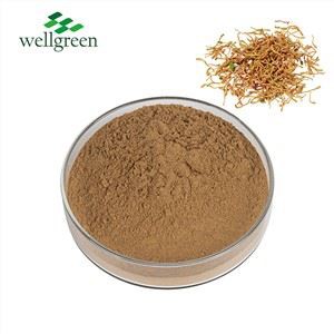 Tango Puawai HoneySuchle