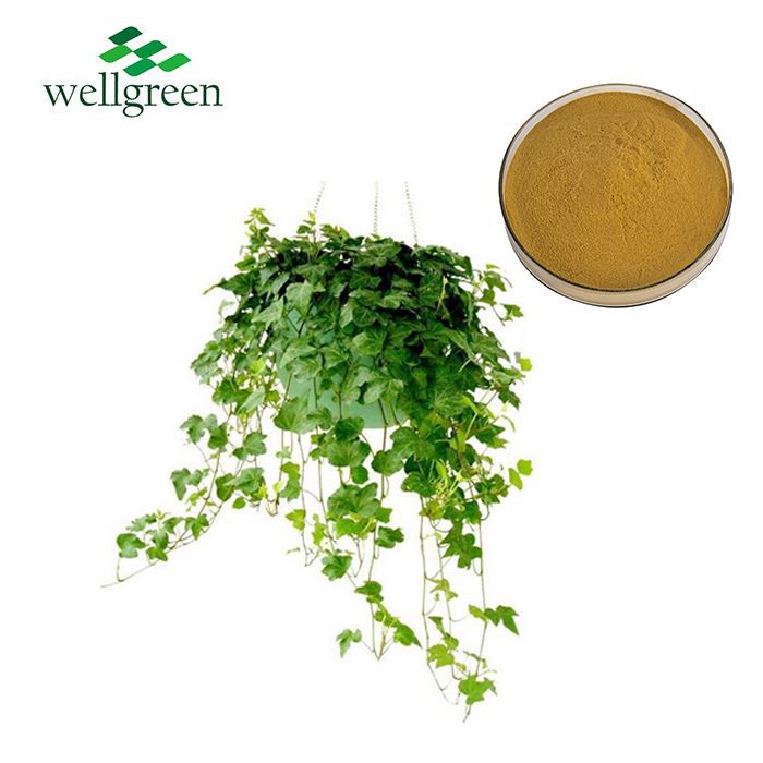 Ivy Stem Extract