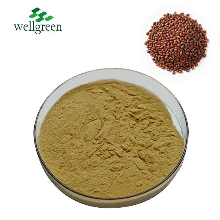 Tāpiringa Kararehe Paura Kakano Seabuckthorn